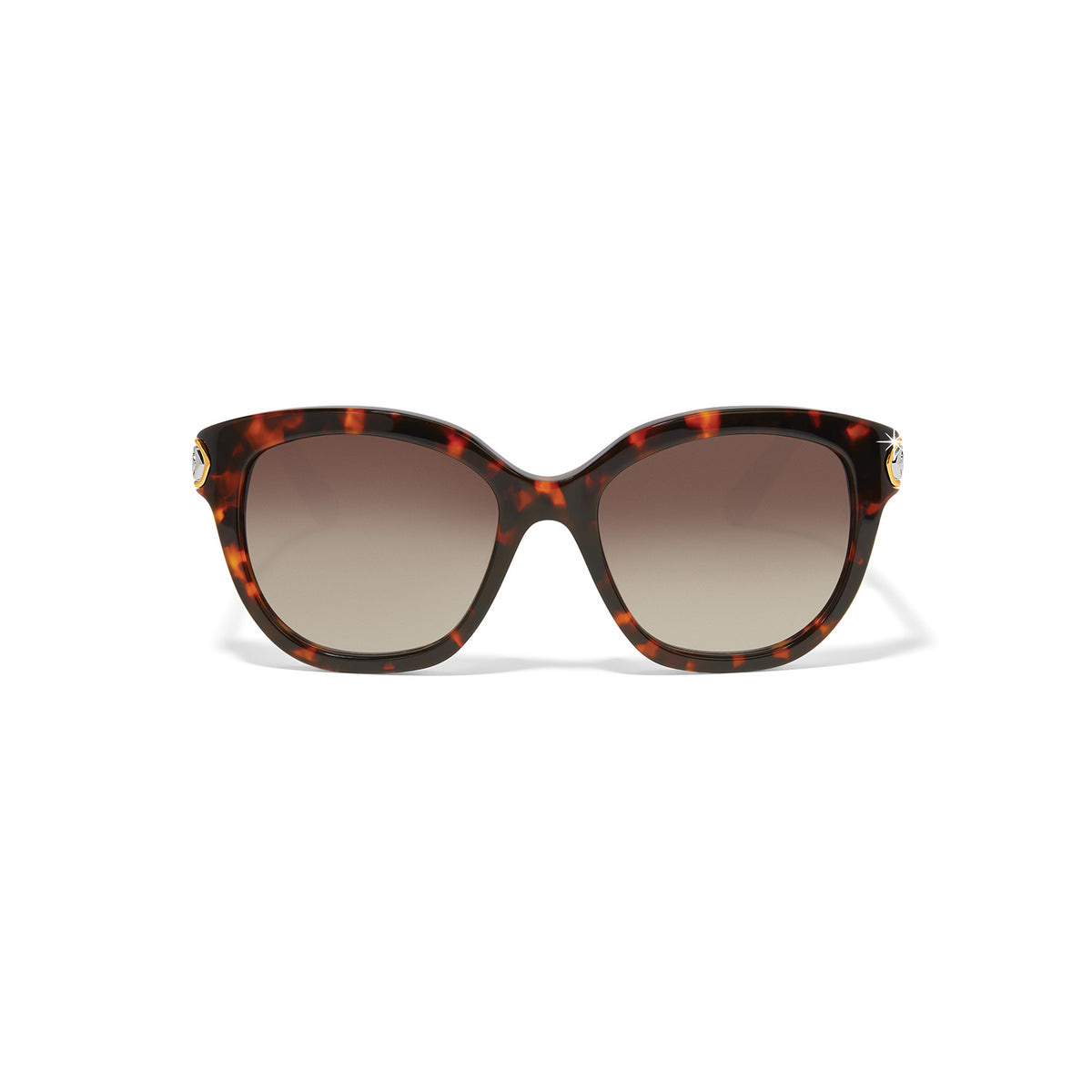 Brighton Intrigue Tortoise Sunglasses– ShopBody.com