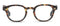 Peepers Headliner - Tortoise - shopbody.com