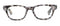 Peepers Clark Focus - Gray Tortoise-shopbody.com