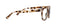 Peepers Impromptu - Chai Tortoise - shopbody.com