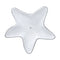 Mariposa Aqua Starfish Dip Dish