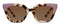 Peepers Nell Bifocal Sun - Chai Tortoise/Rose - shopbodycom