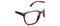 Peepers Dante - Tortoise Horn-shopbody.com