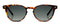 Peepers Boho II Polarized Sun - Tortoise-shopbody.com