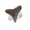 Charles Albert Sterling Silver Fossil Mini Shark Tooth Adjustable Ring -shopbody.com