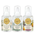 Michel Design Works Mini Foaming Soap Set - Seasons Greetings-shopbody.com