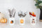 nora fleming pumpkin spice mini-shopbody.com