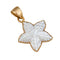 Charles Albert Alchemia - Mother of Pearl Starfish Pendant-shopbody.com