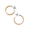 Charles Albert Alchemia - High Polish Flat Hoop-shopbody.com