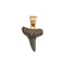Charles Albert Alchemia Mini Fossil Shark Tooth Pendant-shopbody.com