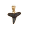 Charles Albert Alchemia Mini Fossil Shark Tooth Pendant-shopbody.com