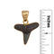 Charles Albert Alchemia Mini Fossil Shark Tooth Pendant-shopbody.com