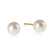 Enewton classic 10mm ball stud - pearl-shopbody.com