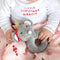 Stephan Baby Swaddles with Plush Rattle - Mouse Queen-shopbody.com