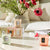 Voluspa Home Refresh 3 Demi Candle Gift Set-shopbody.com
