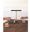 Gentlemen's Hardware Ring Swing Game- shopbody.com