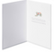 Papyrus Amazing Adventures Wedding Greeting Card-shopbody.com