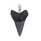 Charles Albert Sterling Silver Fossil Shark Tooth Pendant-shopbody.com