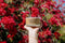 Whiskey River Soap Company - The Trophy Husband-shopbody.com