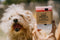 Whiskey River Soap Company - Soap For Dog People-shopbody.com