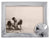 Mariposa Sand Dollar 5x7 Frame - Body & Soul Boutique