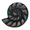 Charles Albert Silver - Mother of Pearl Shell Ring - Body & Soul Boutique