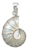 Charles Albert Silver - Shell Nautilus Pendant - Body & Soul Boutique