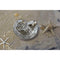 Beatriz Ball OCEAN Nautilus Dip-shopbody.com