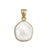 Charles Albert Alchemia - Sand Dollar - Body & Soul Boutique