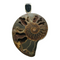 Charles Albert Silver - Trilobite & Ammonite Pendant  - Body & Soul Boutique