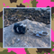  Mini Safety Alarm Grey Camo - Shopbody.com