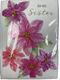 Papyrus Pink Poinsettias Christmas Card